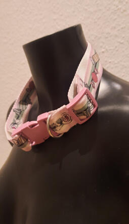 Collar Collar