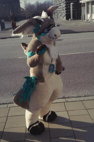 Wikki fursuit Wikki fursuit